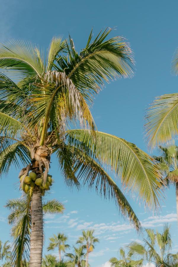 La Poza Boutique Hotel And Spa - Adults 15 Plus Todos Santos Exterior foto