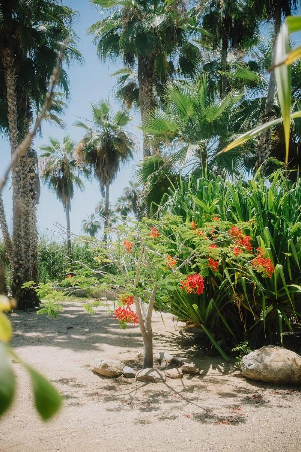 La Poza Boutique Hotel And Spa - Adults 15 Plus Todos Santos Exterior foto